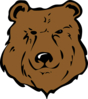 Brown Bear Head Drawing Clip Art